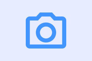 Veja como começar a produzir noz pecã